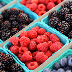 Berries, one of Dr. Jenkins' Top 10 Healthy Foods
